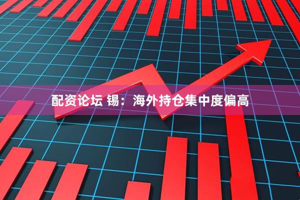 配资论坛 锡：海外持仓集中度偏高